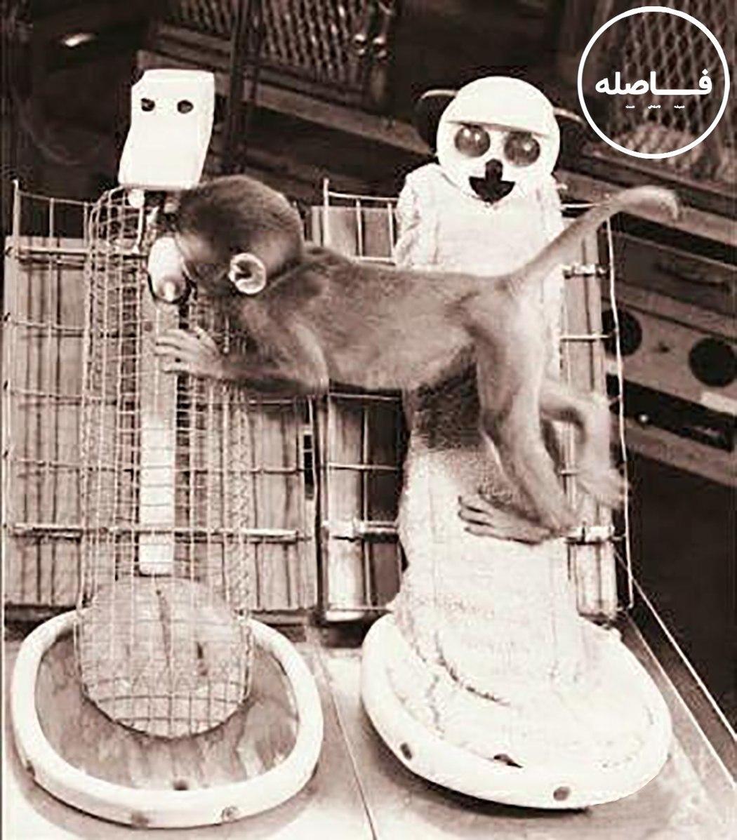 اپیزود سوم- جسم یا روان؛ غذا یا عشق؟